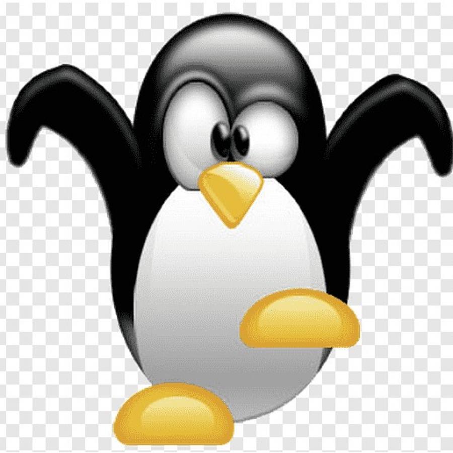 rorien tux